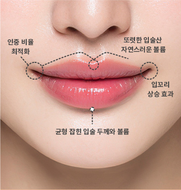 이상적인 입술 디자인 적용 영역